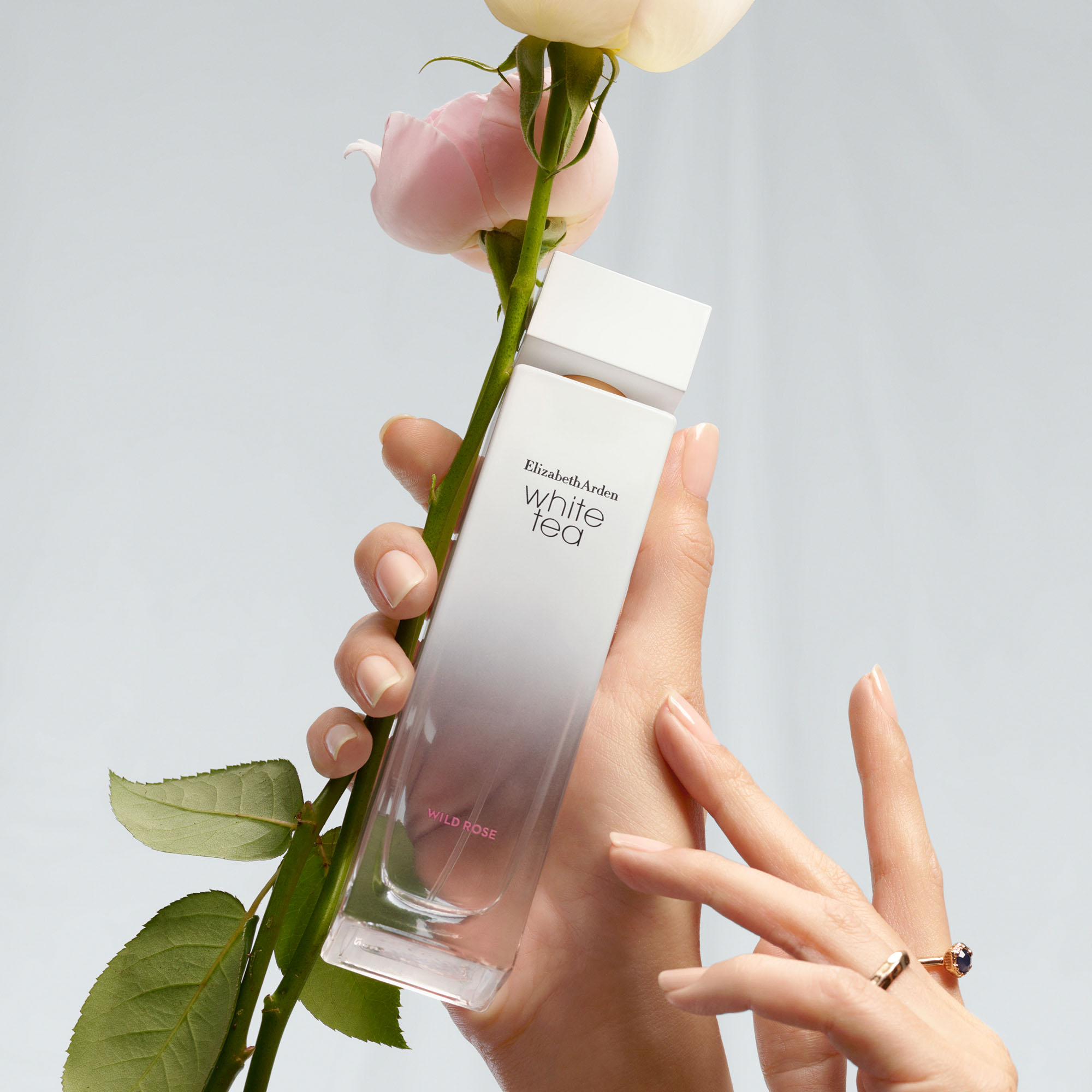 Nước hoa Nữ Elizabeth Arden White Tea Wild Rose EDT 30ml