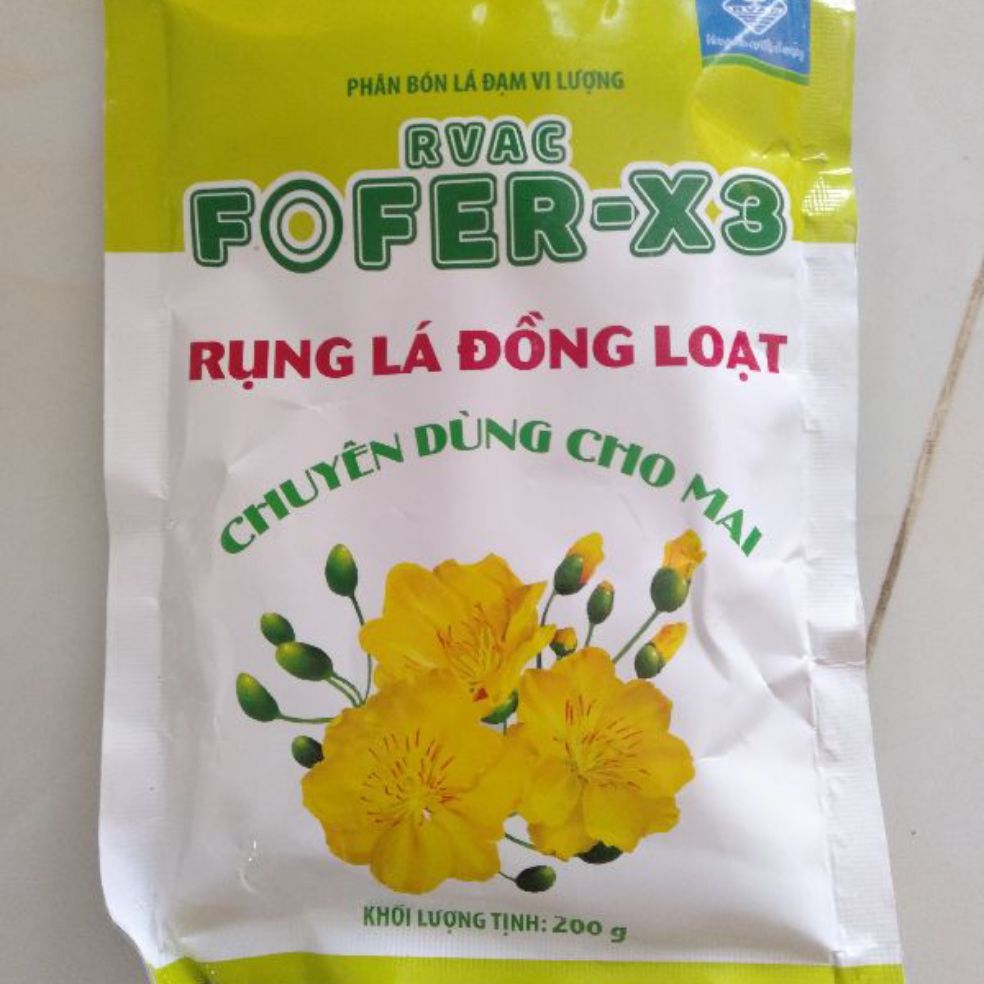 RỤNG LÁ MAI