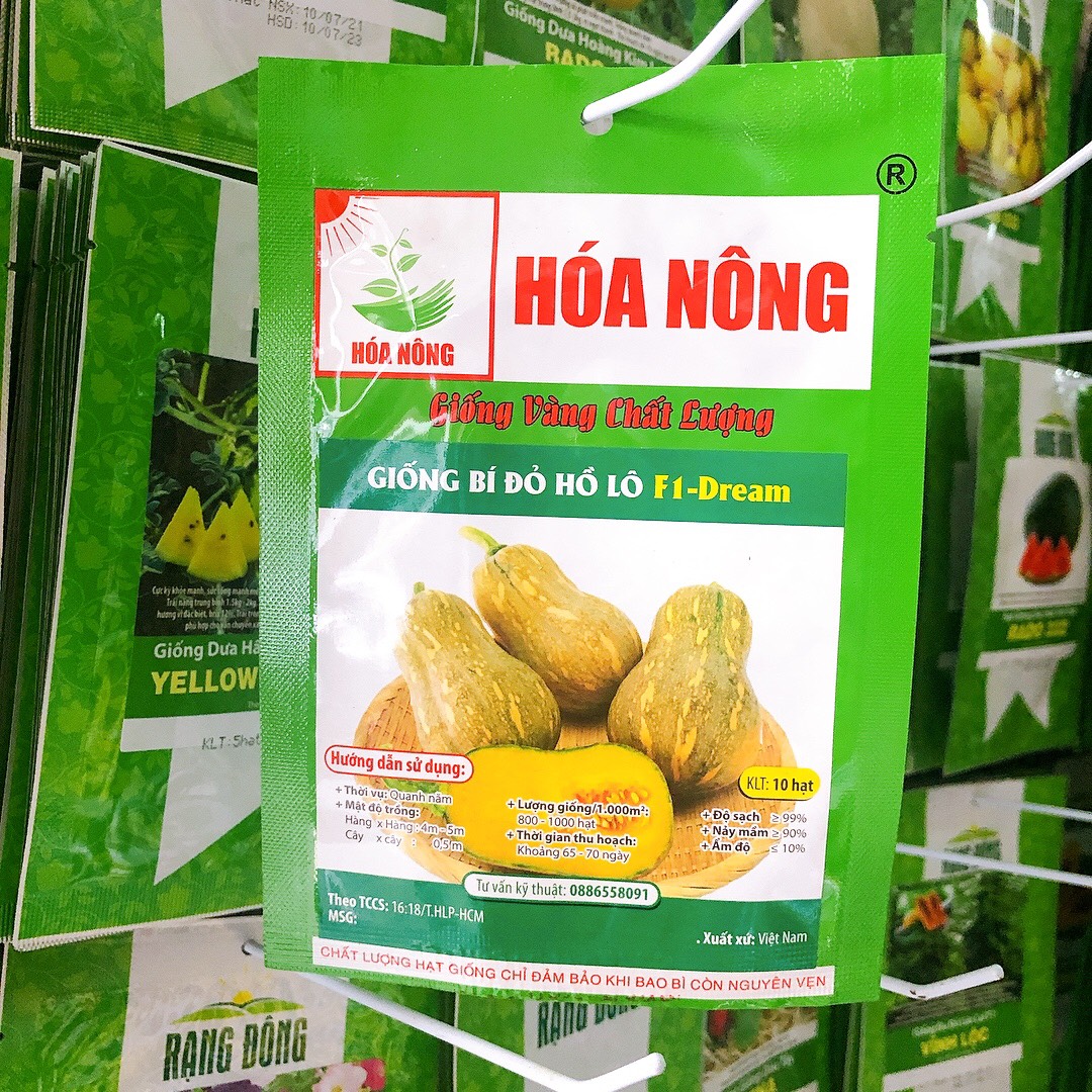 Giống bí đỏ hồ lô dream (10 hạt )