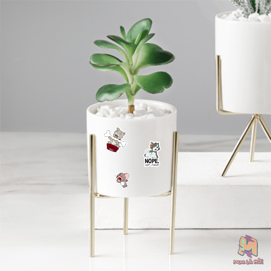 Miếng Dán Stickers In Hình Tom and Jerry