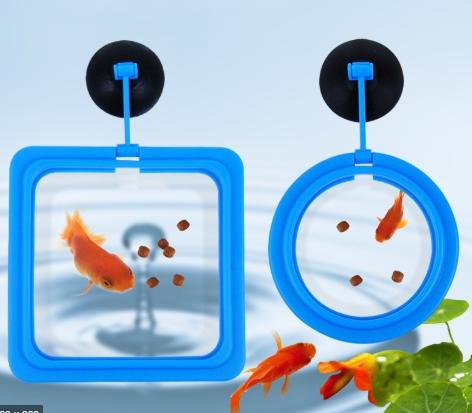 Vòng Cho Cá Ăn - Vòng Giữ Thức Ăn Cho Cá