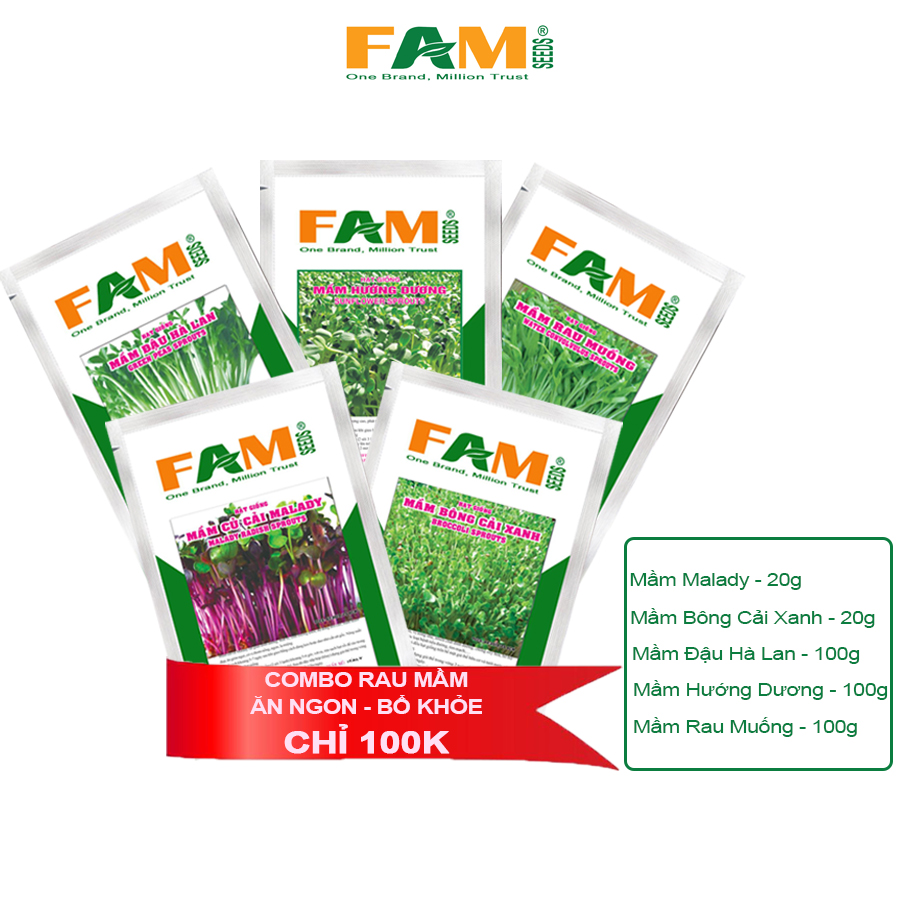 Combo hạt giống rau mầm 5 loại khác nhau - ăn ngon bổ khỏe, hạt nảy mầm đều, phát triển nhanh, thu hoạch sau 7-10 ngày gieo