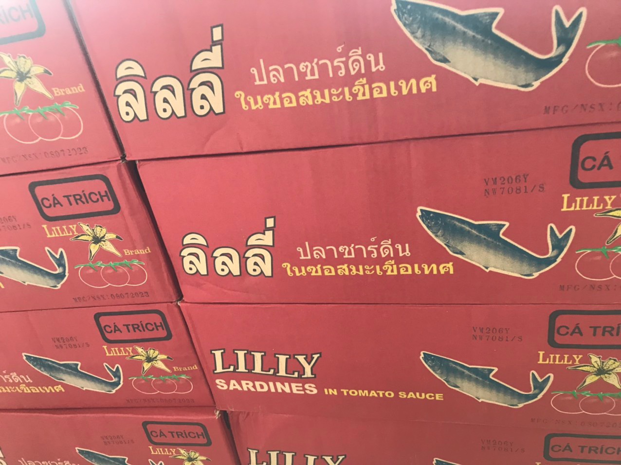 Combo 10 Hộp CÁ NỤC SỐT CÀ LILY 155G