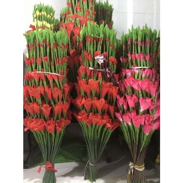 combo 10 củ  Hoa lay ơn đủ màu