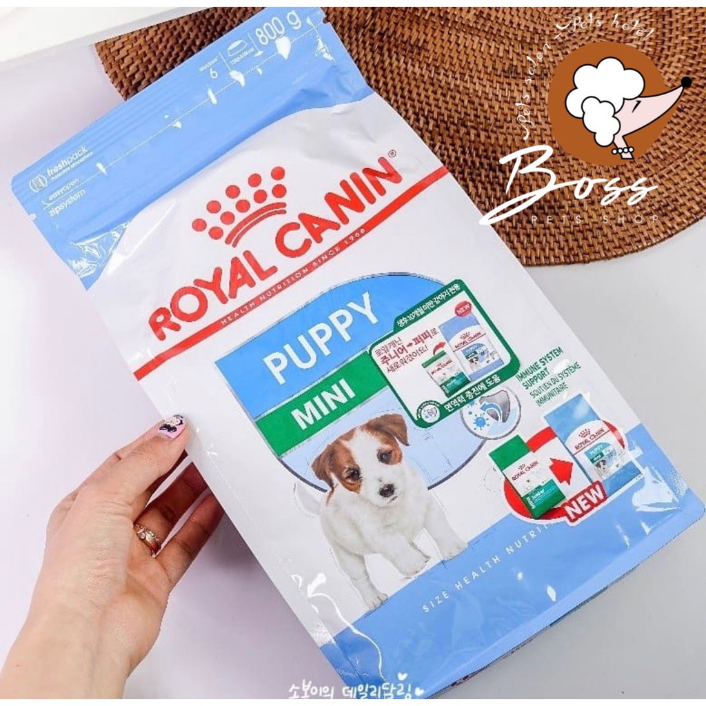 (2kg) Hạt khô Royal Canin Mini Puppy cho cún nhỏ