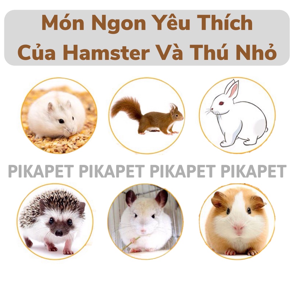 Thức ăn đặc biệt, các loại hạt ngon cho Hamster(Thức ăn trộn 200g)