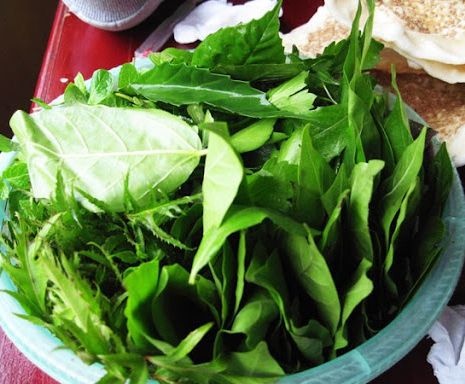 "Gói 20 "Hạt Giống Lá Cách Vọng Cách [Seeds]