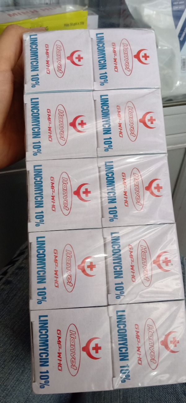 Lincomycin 100Ml Đặc T rị Nhiễm Khuẩn - 307