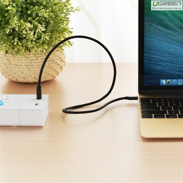 Cáp USB Type C to USB 2.0 dài 2m  Ugreen 30161 cao cấp