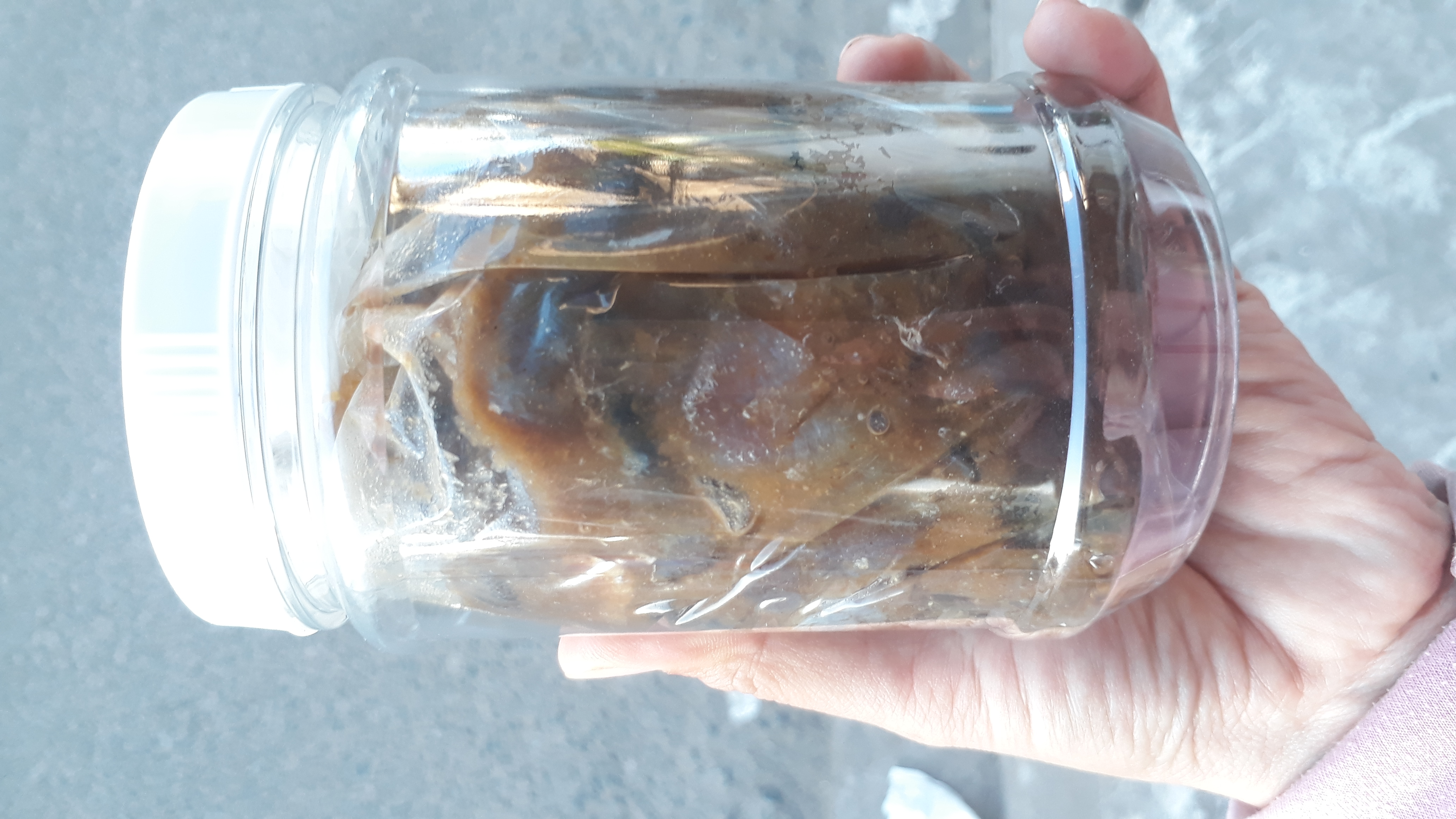 Mắm cá sặc - Đặc sản miền Tây (Hộp 500gr)