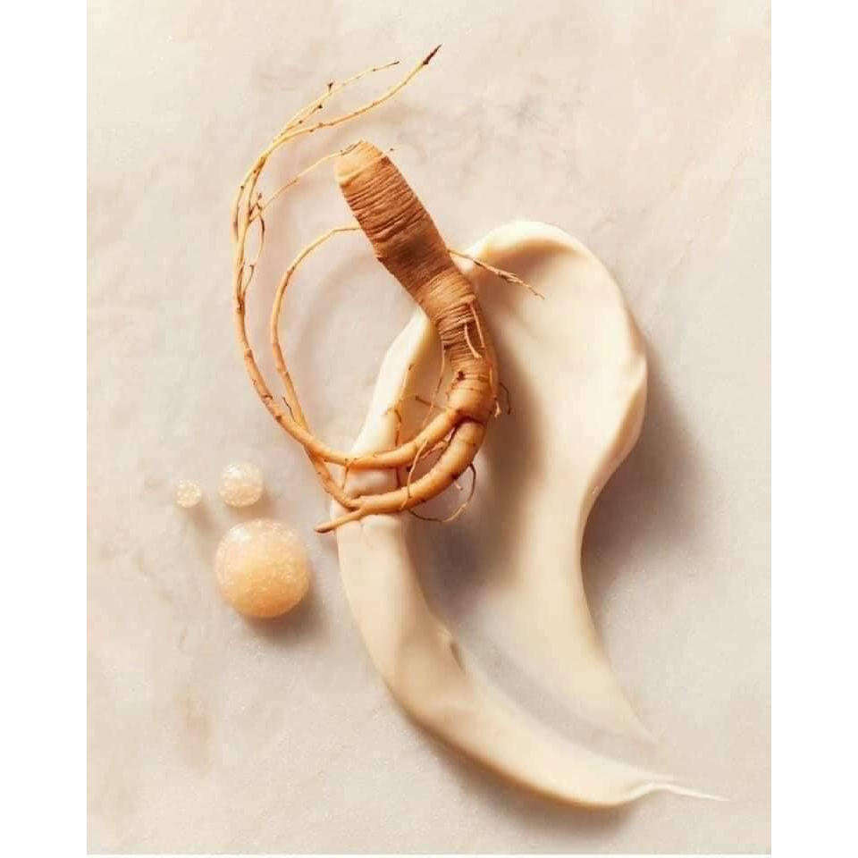 Mặt Nạ Ngủ Nhân Sâm Sulwhasoo