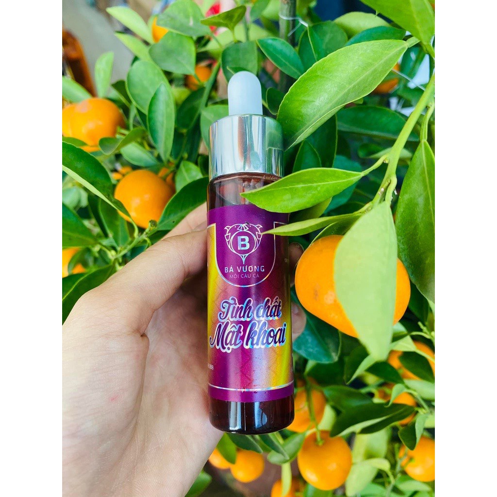 Combo mồi câu cá chép Bá Vương
