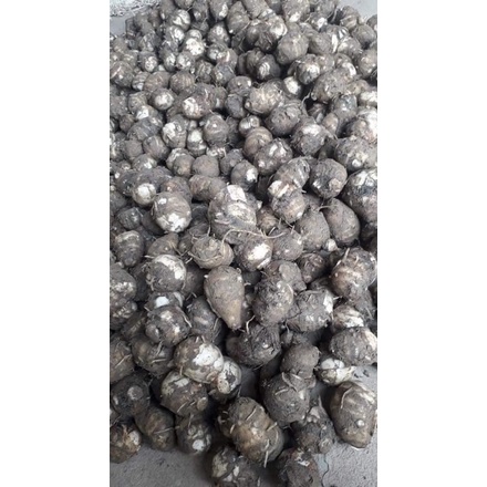 1Kg Khoai sọ/ khoai môn bở, dẻo thơm ngon- hàng chất lượng