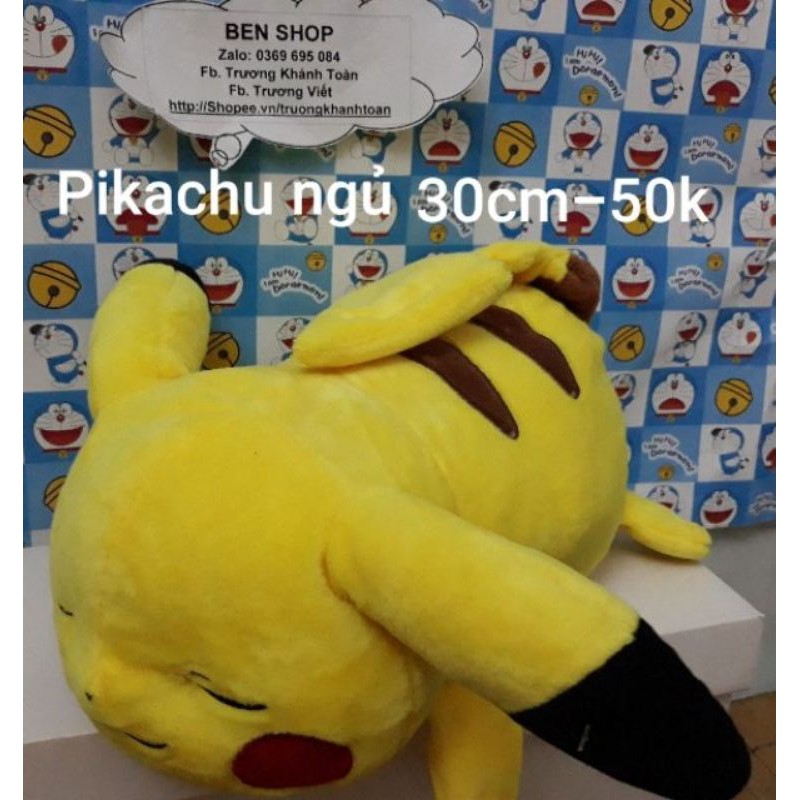 [HCM]Gấu Bông Si Pikachu Kiện Nhật Hàn(Ảnh Thật)