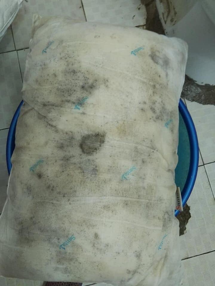 Combo 3 chai thuốc tẩy mốc 500ML Tracatu Việt Nam