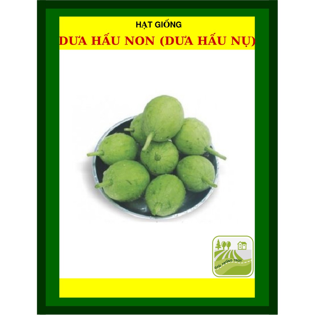 Hạt Giống Dưa Hấu Ăn Non Dưa Hấu Nụ 2Gram