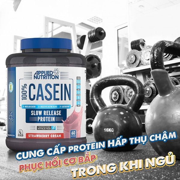 Whey ban đêm CASEIN 60 Servings Applied Nutrition - Whey hấp thụ chậm CASEIN APPLIED NUTRITION