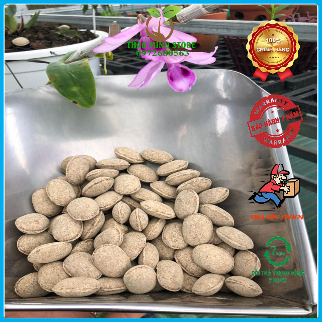 Phân tan chậm hạt bàng nhật bản 12-6-6 túi 200gram