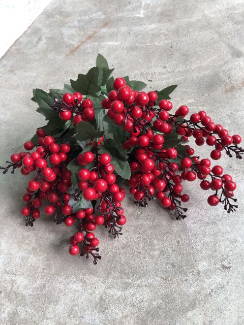 cherry chùm 7 nhánh