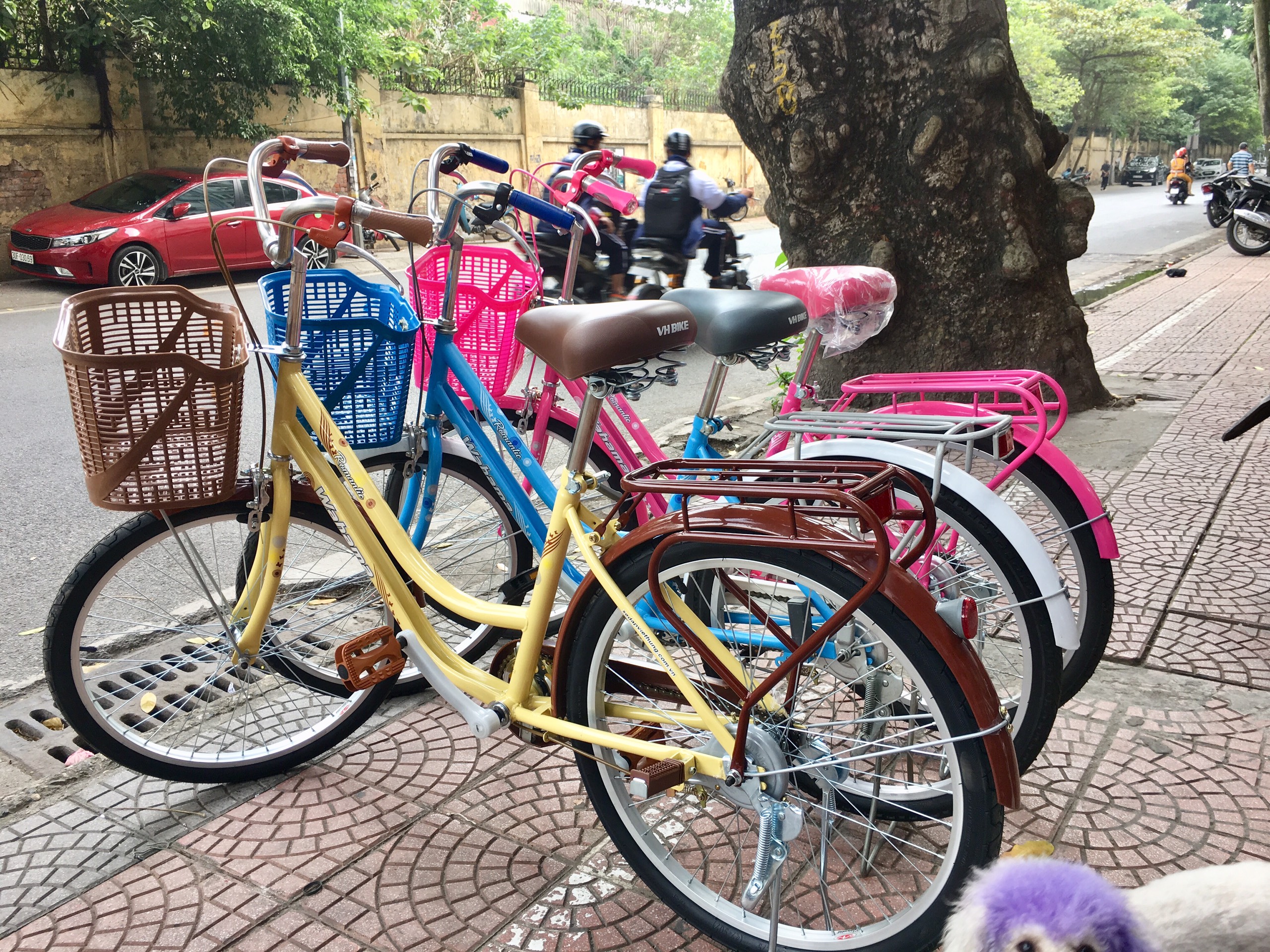Xe Đạp Mini VH Bike
