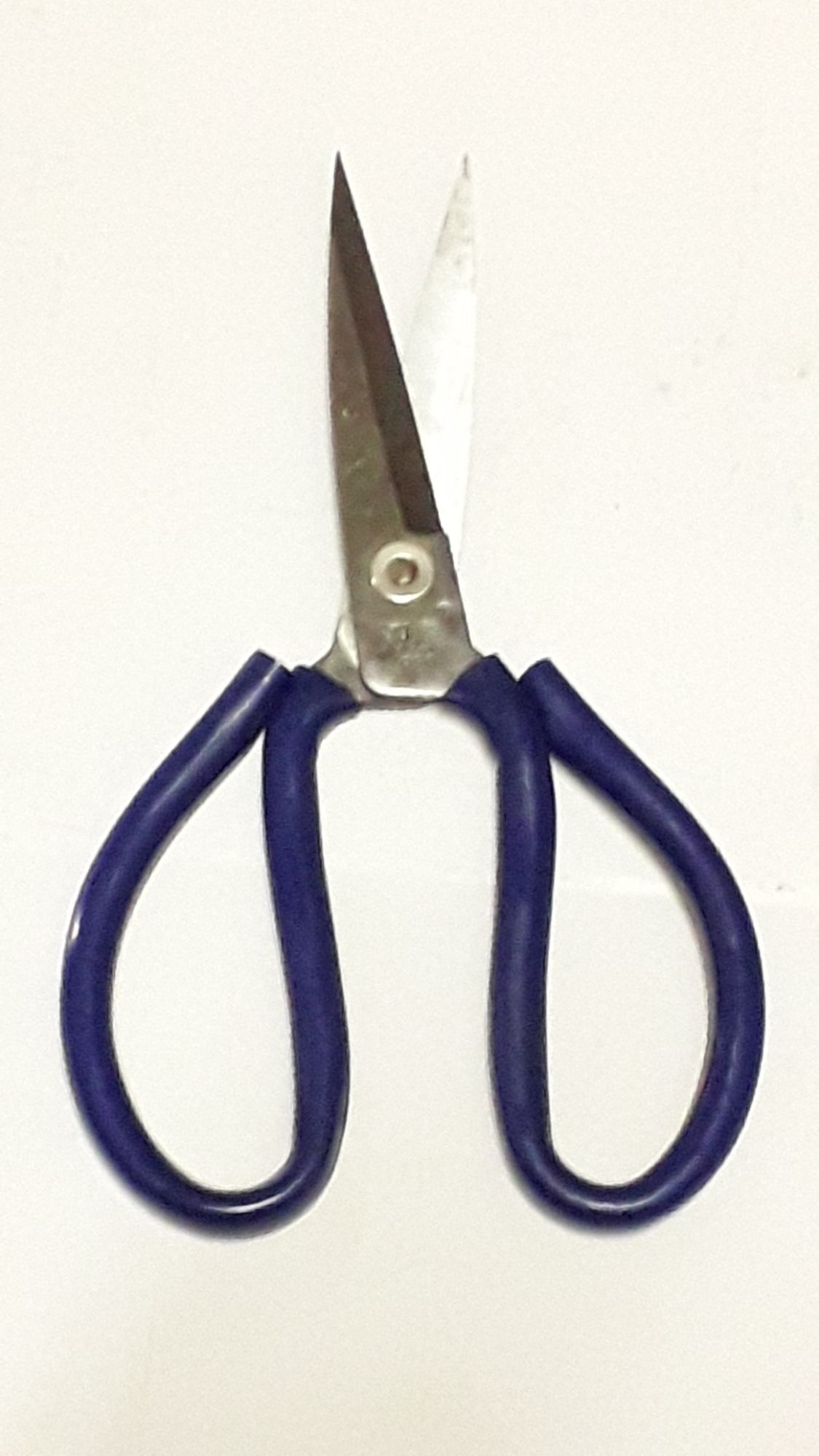 Green P2 X 22cm Thick Iron Scissors