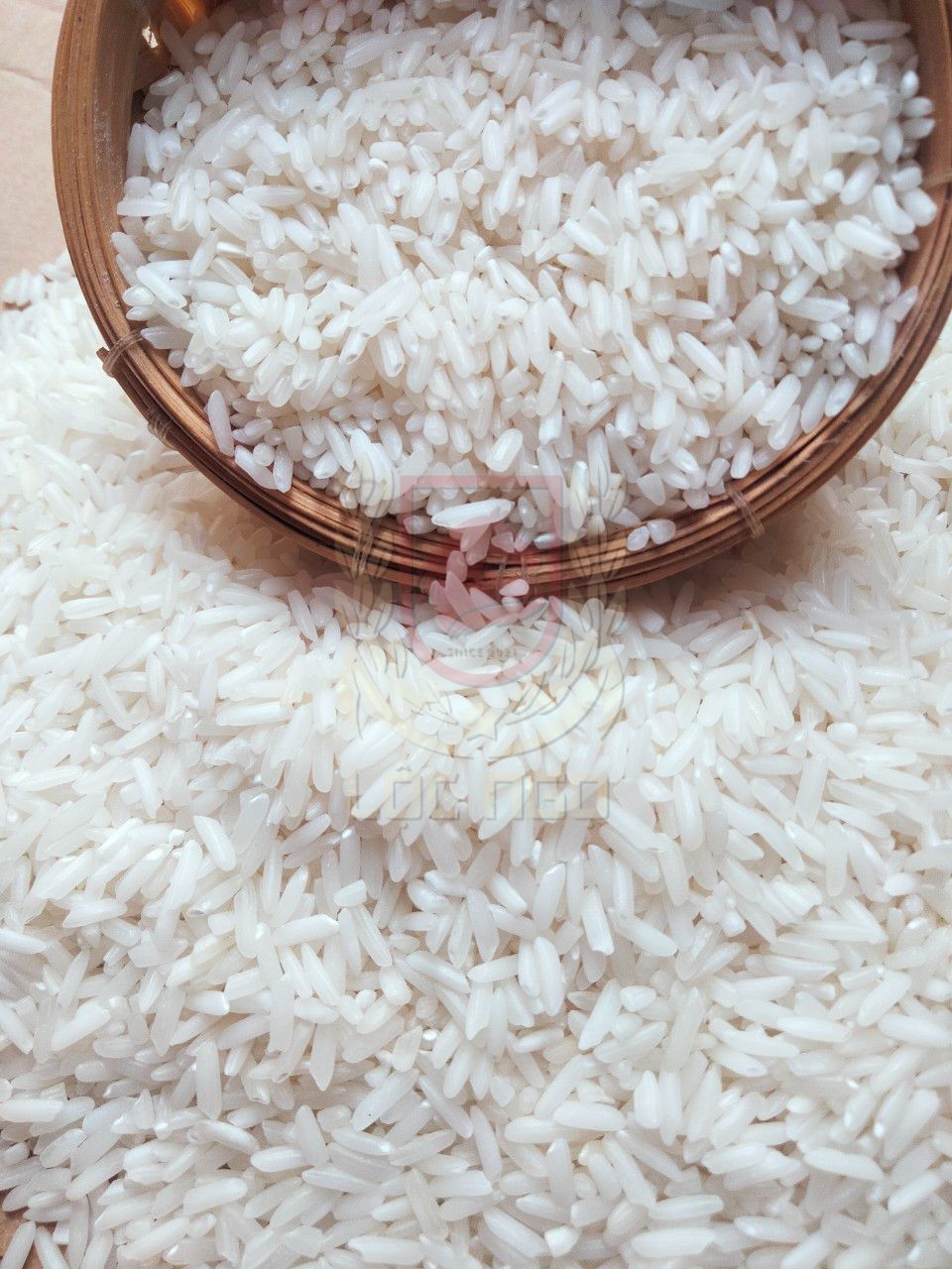 Gạo Thơm Thái 20%T - Dẻo Vừa Ngọt Cơm