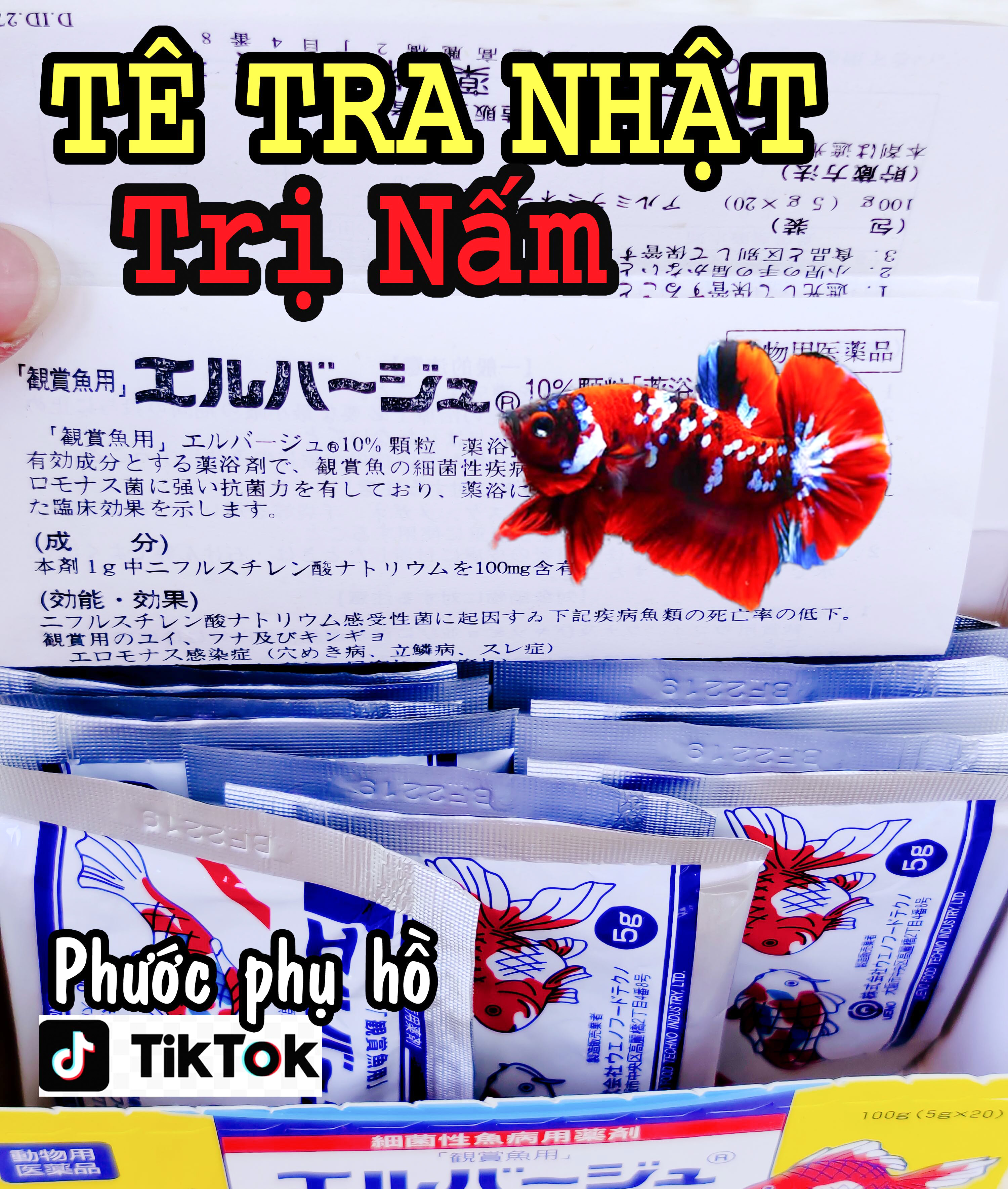 Tetra Nhật trị Nấm cá Betta . 7 Màu