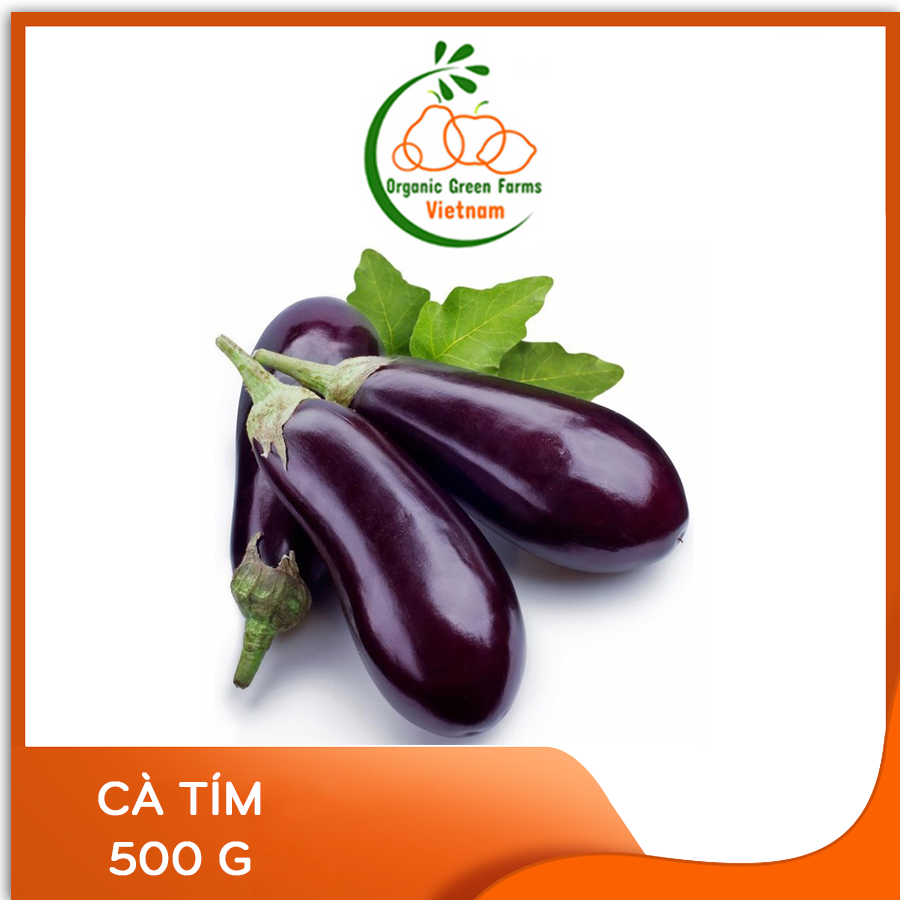 [OGF] - Cà tím (500 g) - [Giao nhanh TPHCM]