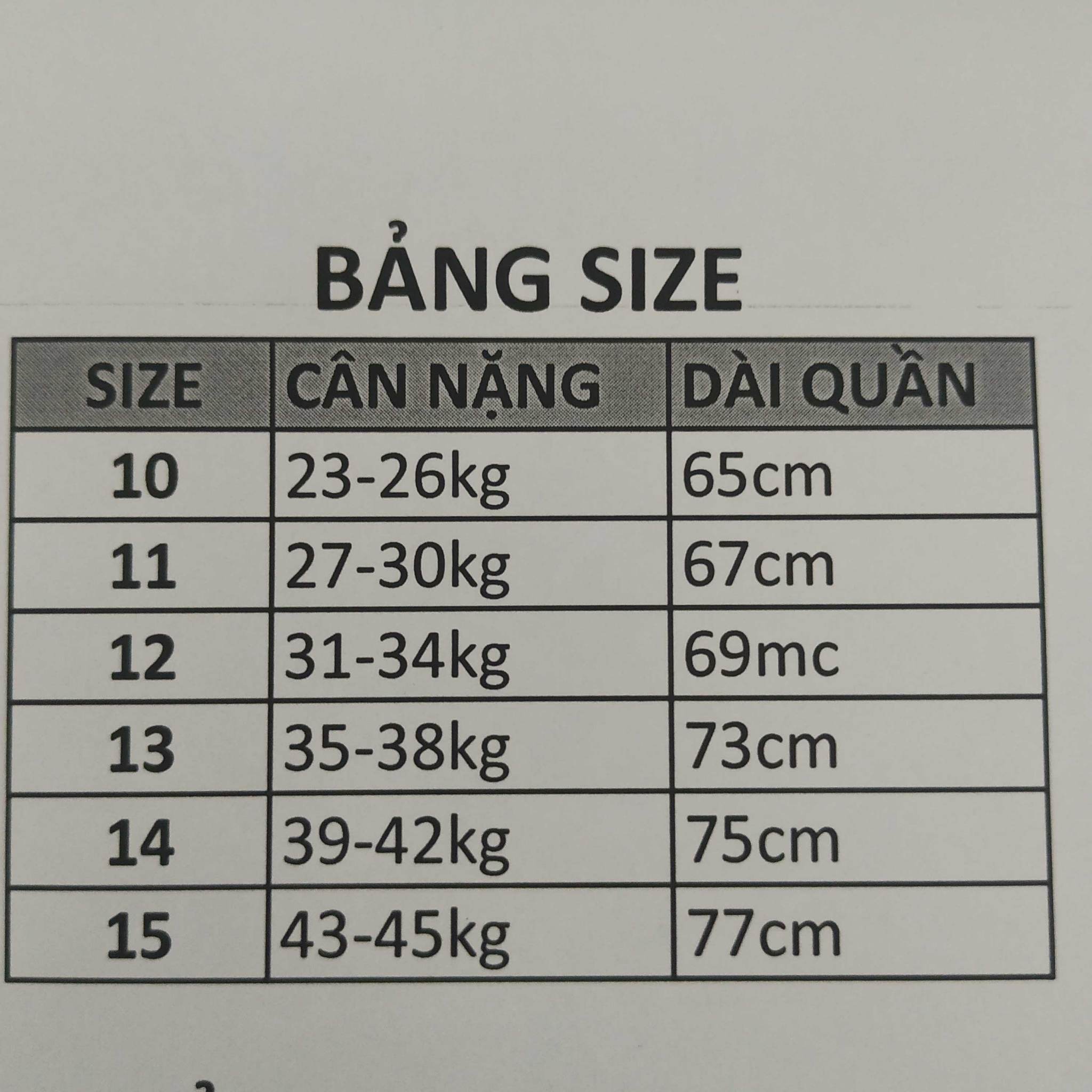 BỘ THUN HIP HOP BÉ GÁI HÌNH GẤU