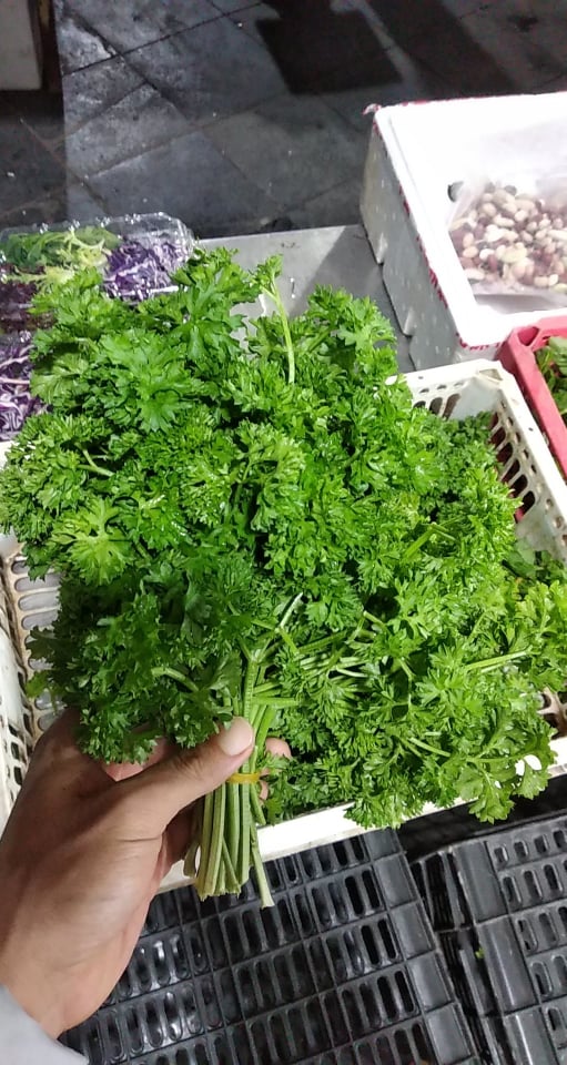 Lá tươi mùi tây Parsley fresh leaves Tươi Nấu Ăn ,Giâm Cành Trồng bó 50g/100g