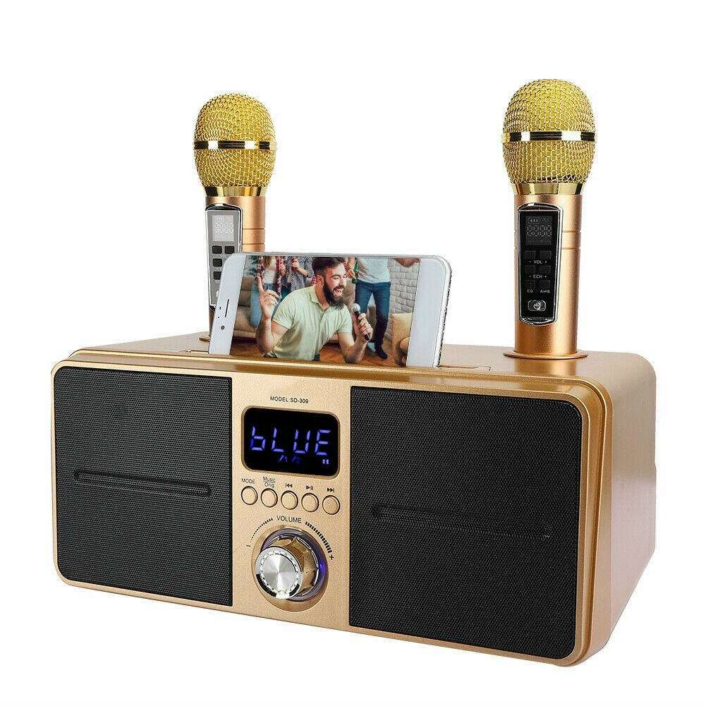 Loa Bluetooth Karaoke SD-309 Plus bản 2023 đa năng, Loa kèm 2 micro hát karaoke Không dây- Phiên Bản Nâng Cấp lọc