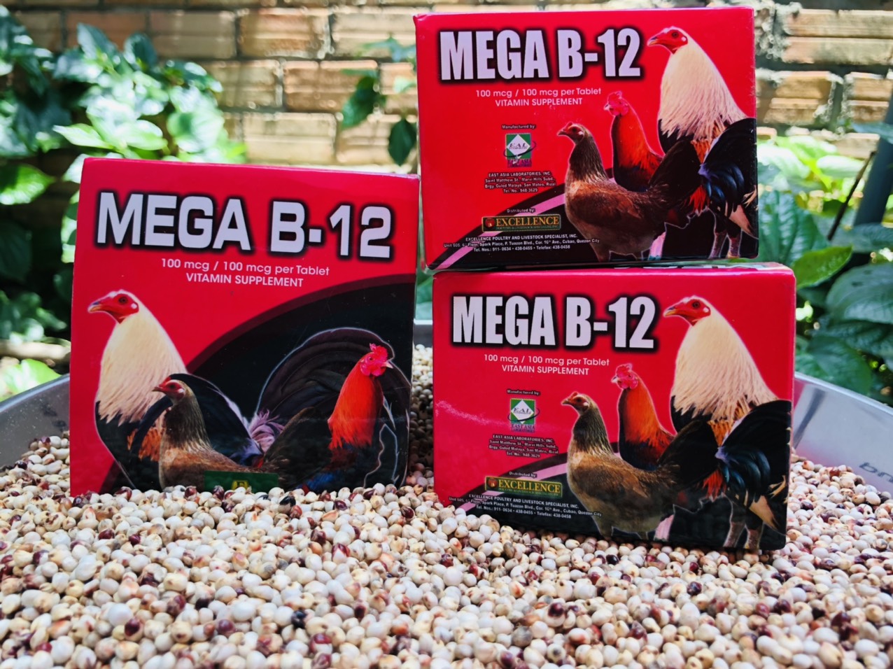 Mega B12 dinh dưỡng cho gà đá