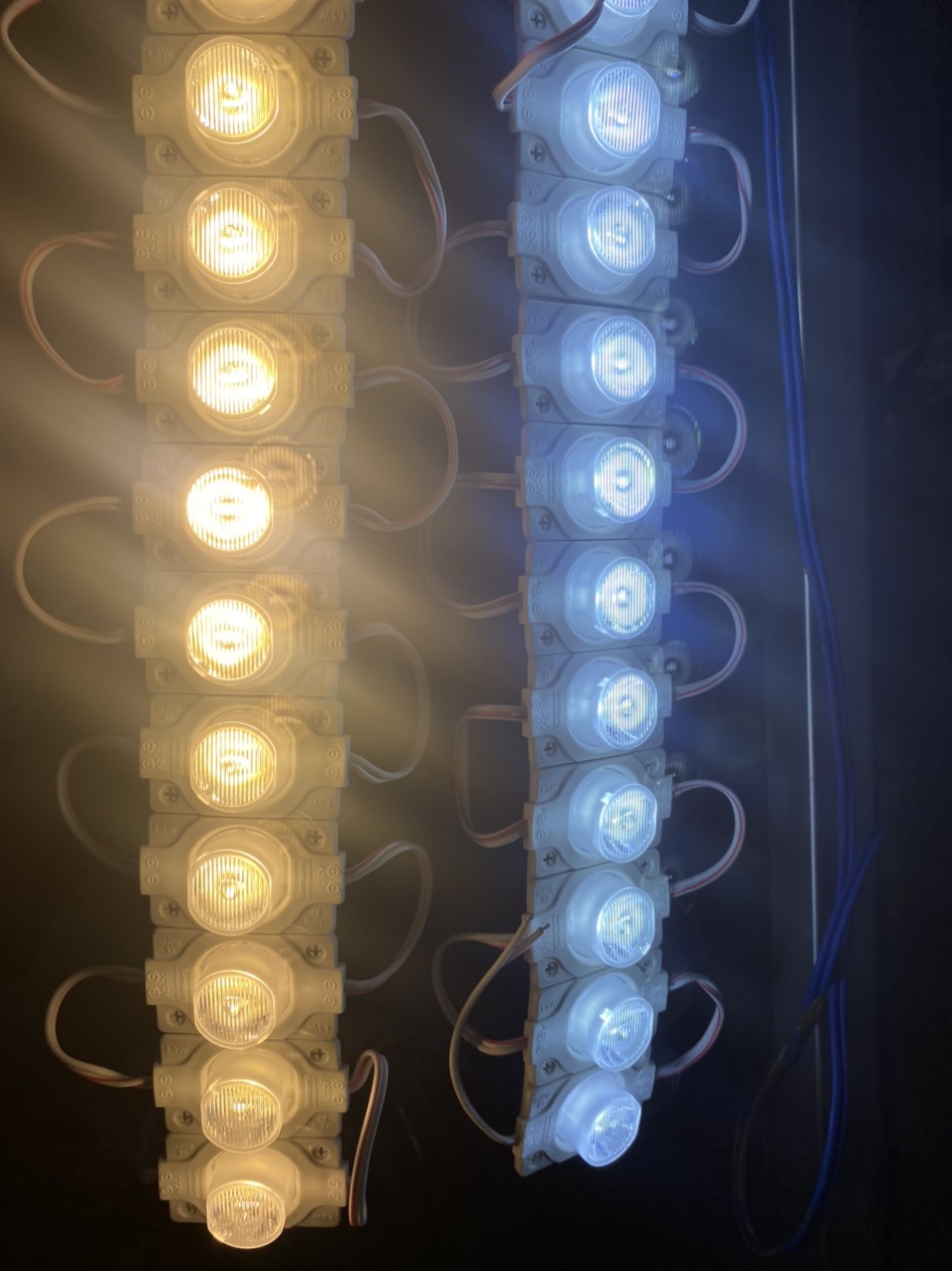 LED RỌI 1,5W (LED MẮT TRÂU) DÂY 20 BÓNG