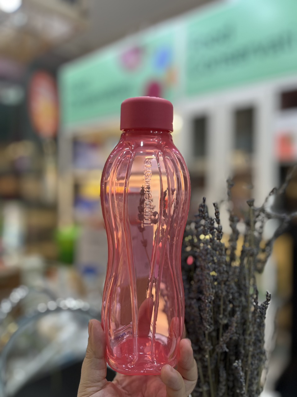 Bình Nước Tupperware Eco Bottle Gen II 500ml