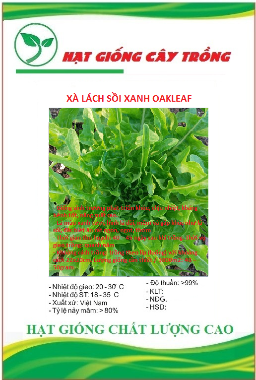 Hạt giống rau xà lách sồi xanh oakleaf - gói 2gram