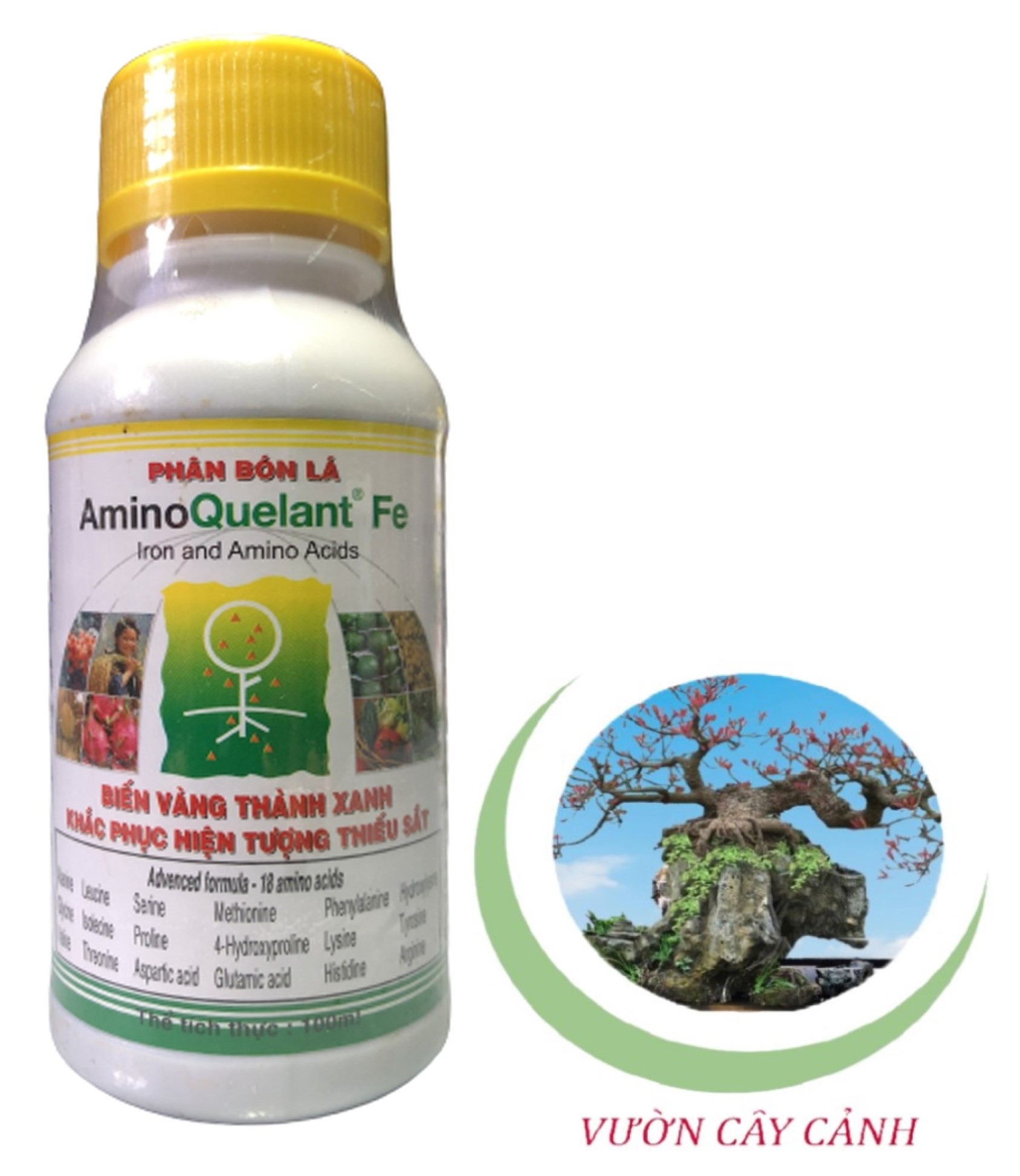 Phân Bón Lá Amino Quelant Fe - #065A# 100ml