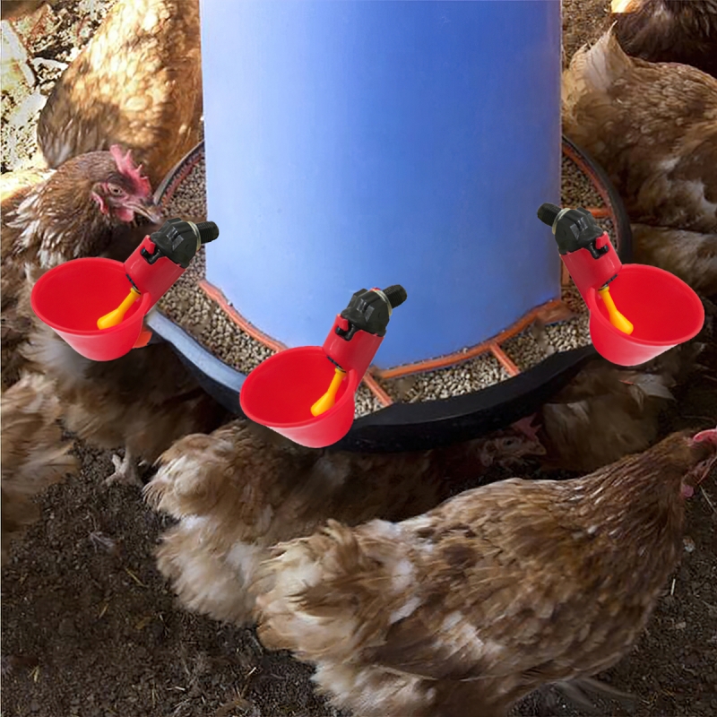 Máng Uống Tự Động Cho Gà-Vịt-Ngan Dạng Cốc-HASUE