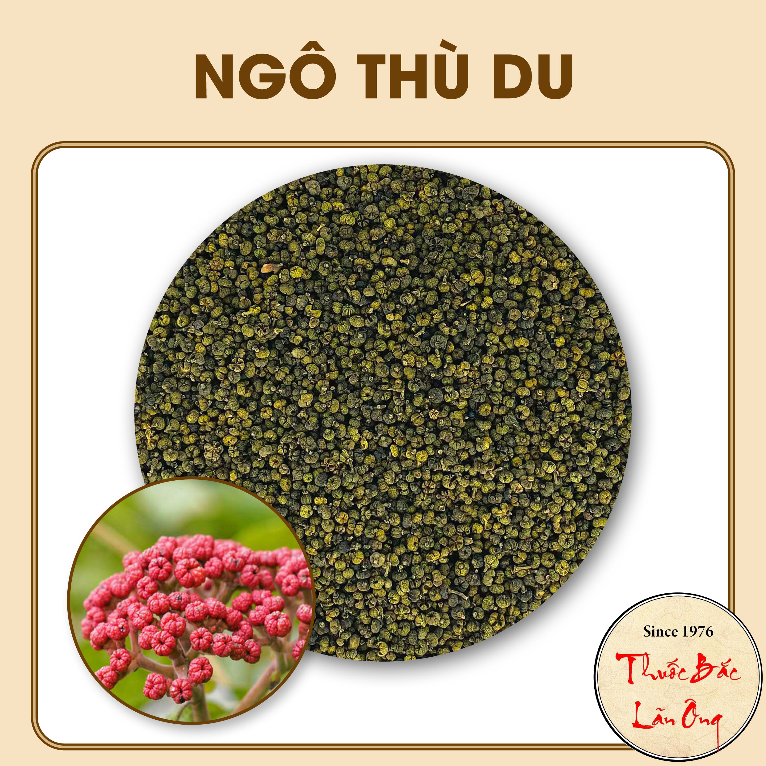 Ngô thù du 100g