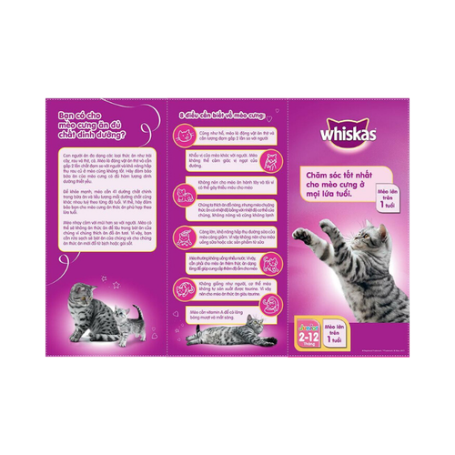 Thức ăn mèo con Whiskas vị cá biển & sữa 1.1kg