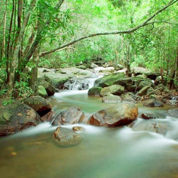 [PHÚ QUỐC] TOUR THAM QUAN BỜ NAM & ĐÔNG ĐẢO