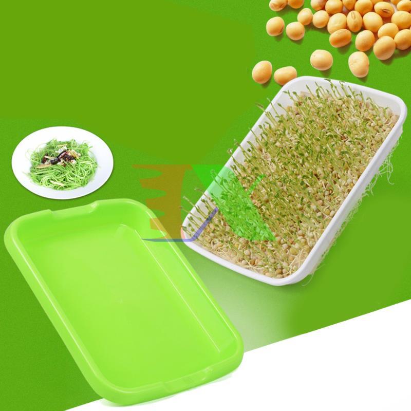 Set 10 tray planting vegetables hydroponic sprout, planting tray vegetables hydroponic sprout dedicated mam-100, seed Plant vegetables do not need soil