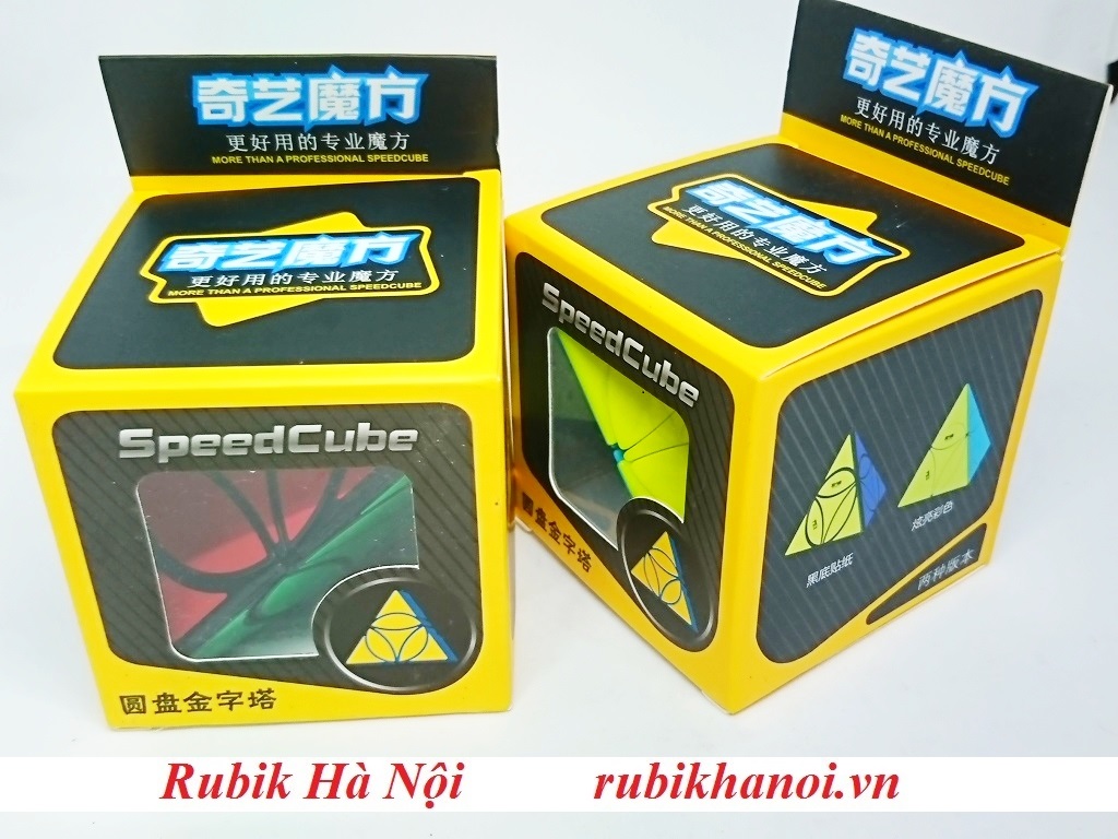 Rubik Qiyi Pyraminx Coin