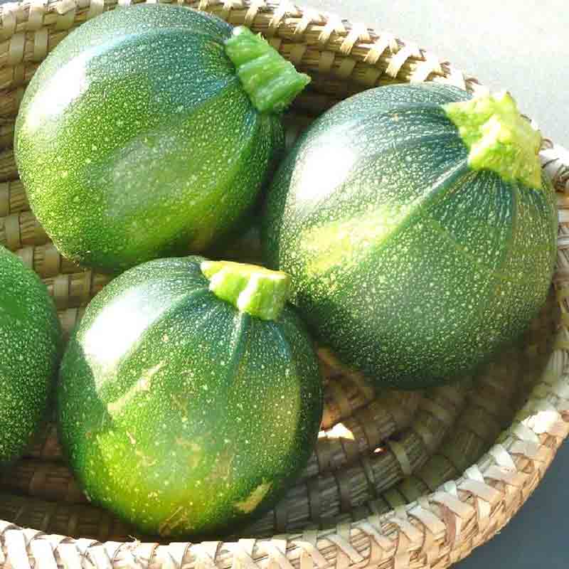 Hạt giống Bí Ngòi (Bí Ngồi) tròn xanh (Gói 10 hạt)