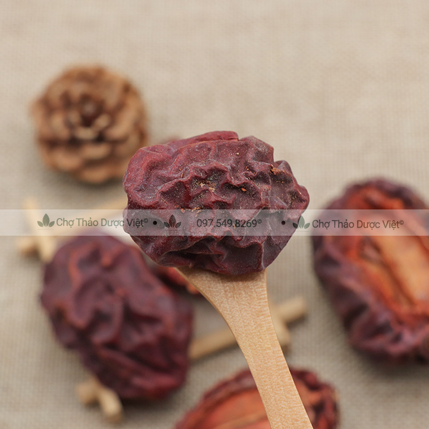 Mộc qua khô 100g, quả tra tử, hỗ trợ giảm ho, đau nhức xương khớp, tê bì tay chân, tốt cho tiêu hoá