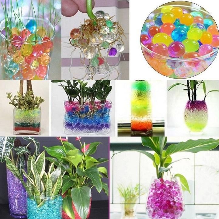 Hạt nở trân châu, hạt tinh thể trồng cây