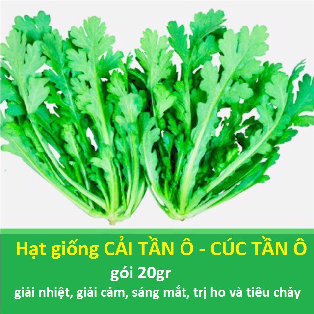 [HCM]Hạt Giống Cải Tần Ô - Cải Cúc Tần Ô (Gói 20Gr)