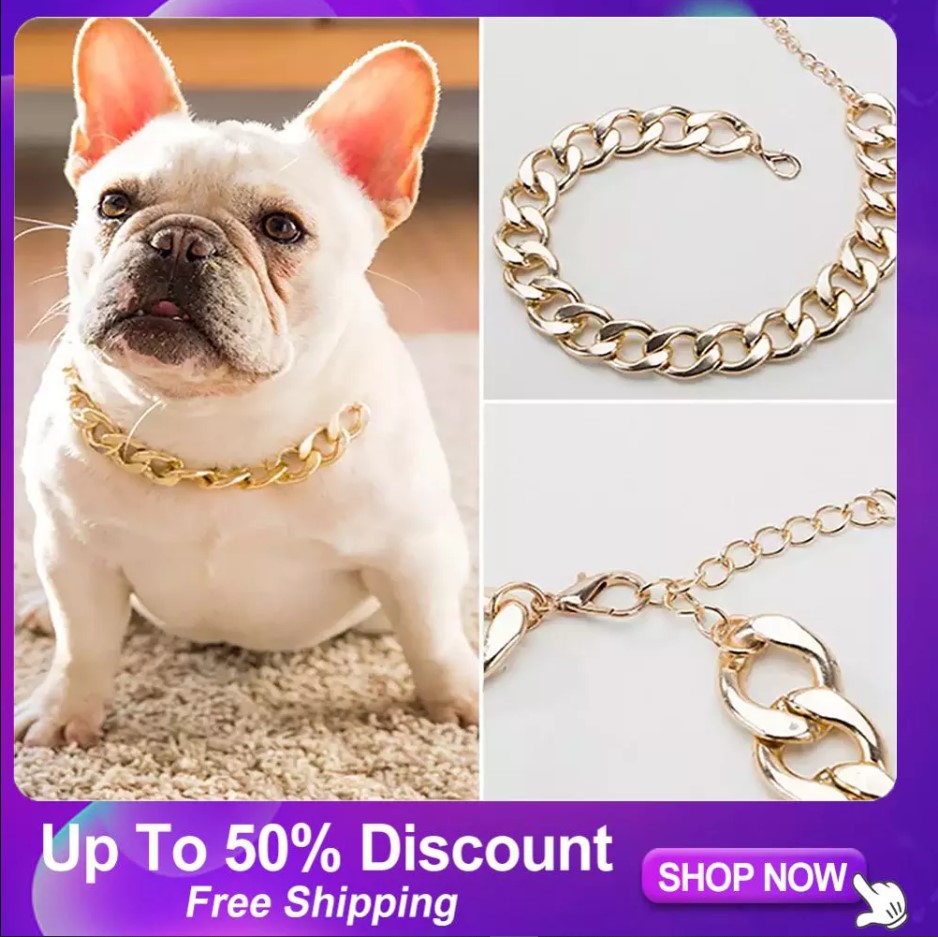 Vòng cổ cho chó Pitbull Bulldog có thể điều chỉnh Huấn luyện viên Aixuexi - INTL