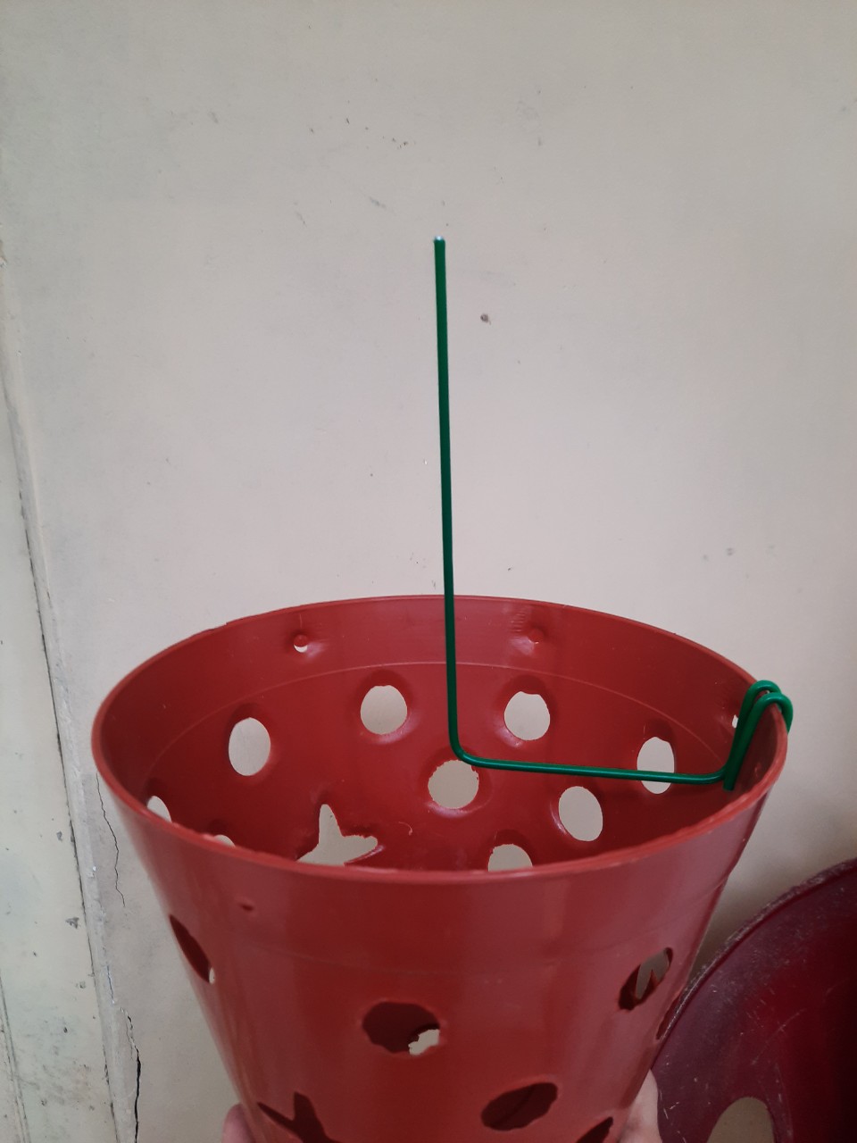 Combo 10 que kẹp chậu giữ kie