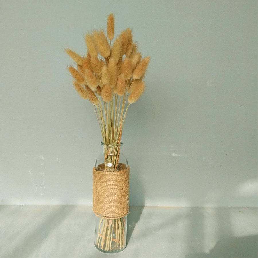 20 cành hoa đuôi thỏ trang trí, décor có nhiều màu sắc để chọn lựa
