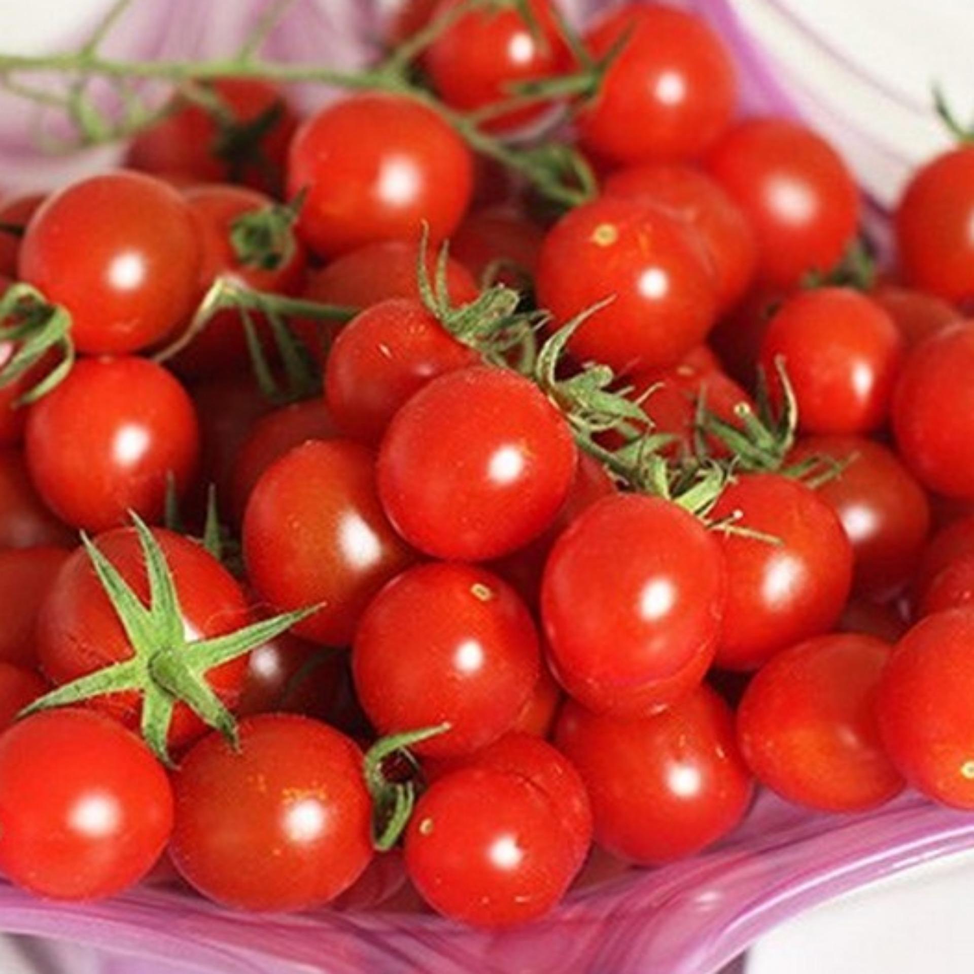 1g Hạt giống Cà chua bi F1 (tặng Kích nẩy mầm, Hướng dẫn ươm)